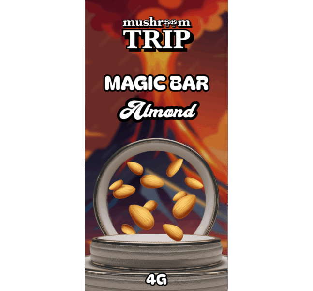 buy shrooms chocolate bar almond