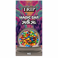 Pilzschokoladenriegel mit M&Ms kaufen