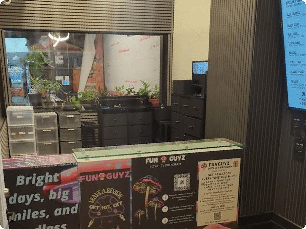 Funguyz - Magic Mushroom Dispensary on 592 Queen St W, products behind the counter