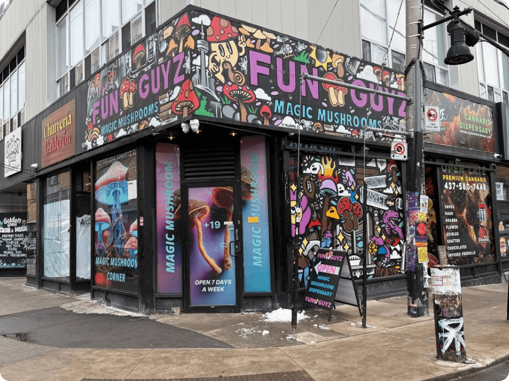 Funguyz - Magic Mushroom Dispensary at 181 Baldwin St, storefront in December 2025