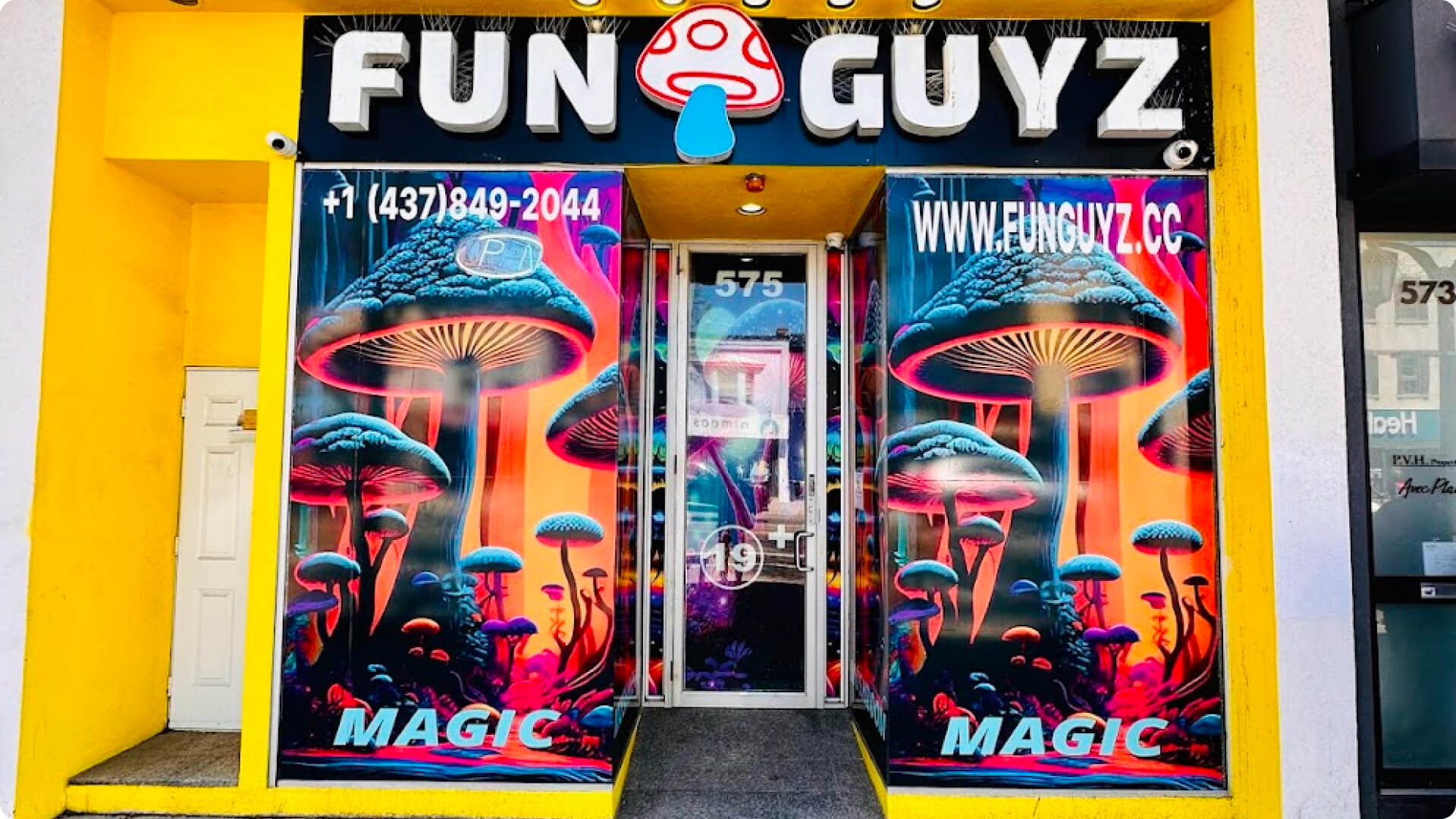 Psychedelic mushrooms dispensary in Toronto downtown