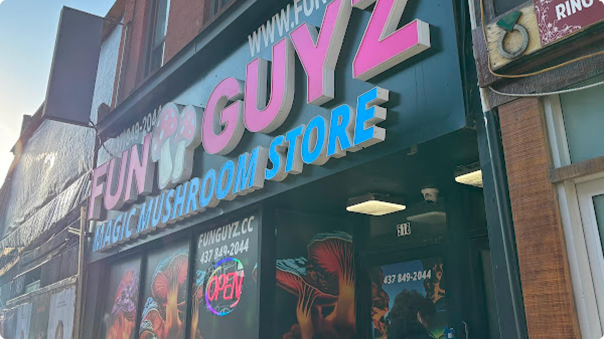 Entrance area and signage at Funguyz at 592 Queen Street West