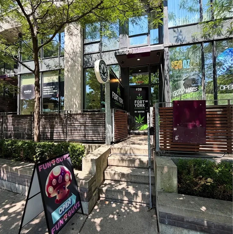 Funguyz Fort York Blvd storefront Entrance to Funguyz at 38 Fort York Blvd, Toronto, with the Funguyz open sandwich board on the sidewalk