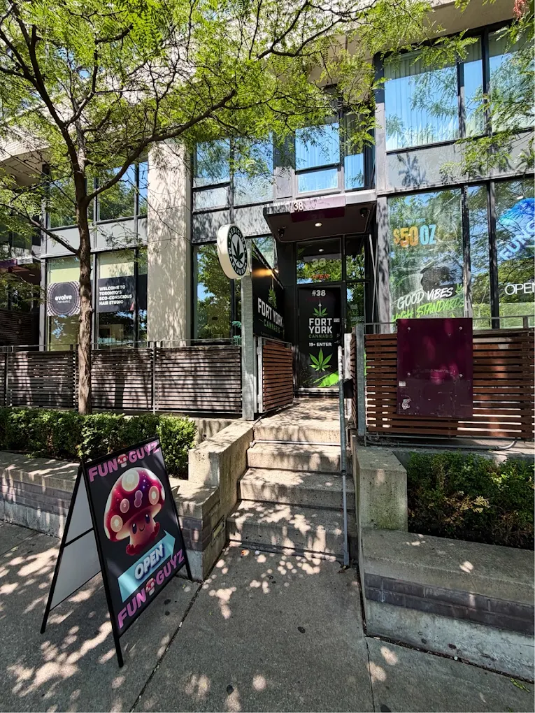 Funguyz Fort York Blvd storefront Entrance to Funguyz at 38 Fort York Blvd, Toronto, with the Funguyz open sandwich board on the sidewalk