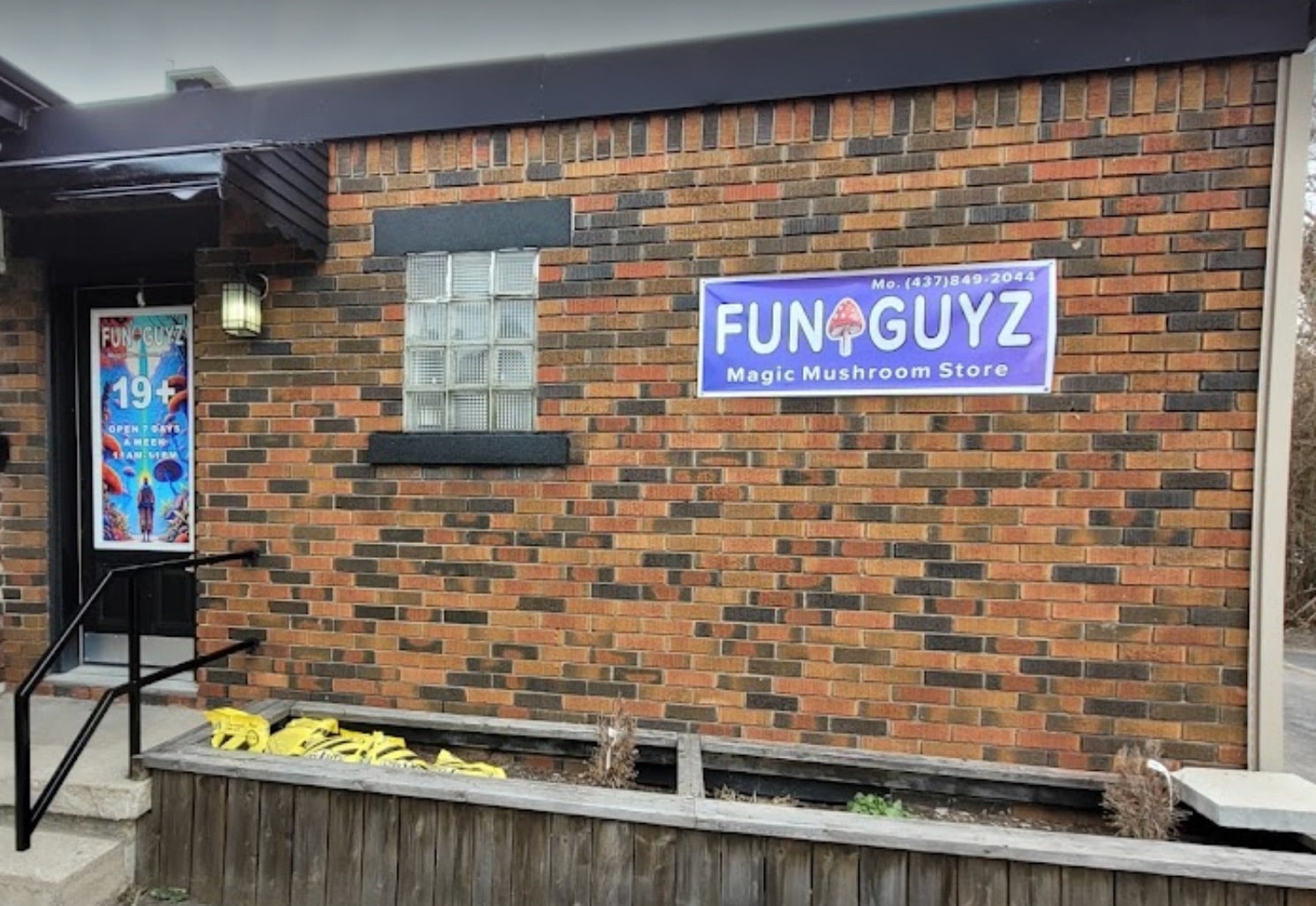 Funguyz-Kitchener-Magic-Mushrooms-Apotheke