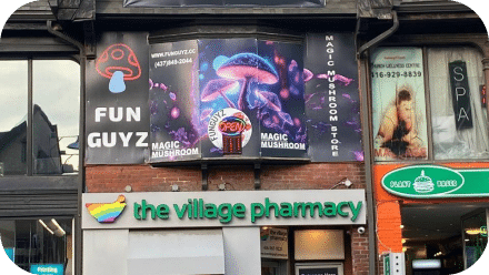 Hongos mágicos de Funguyz en Toronto, Church St. 2