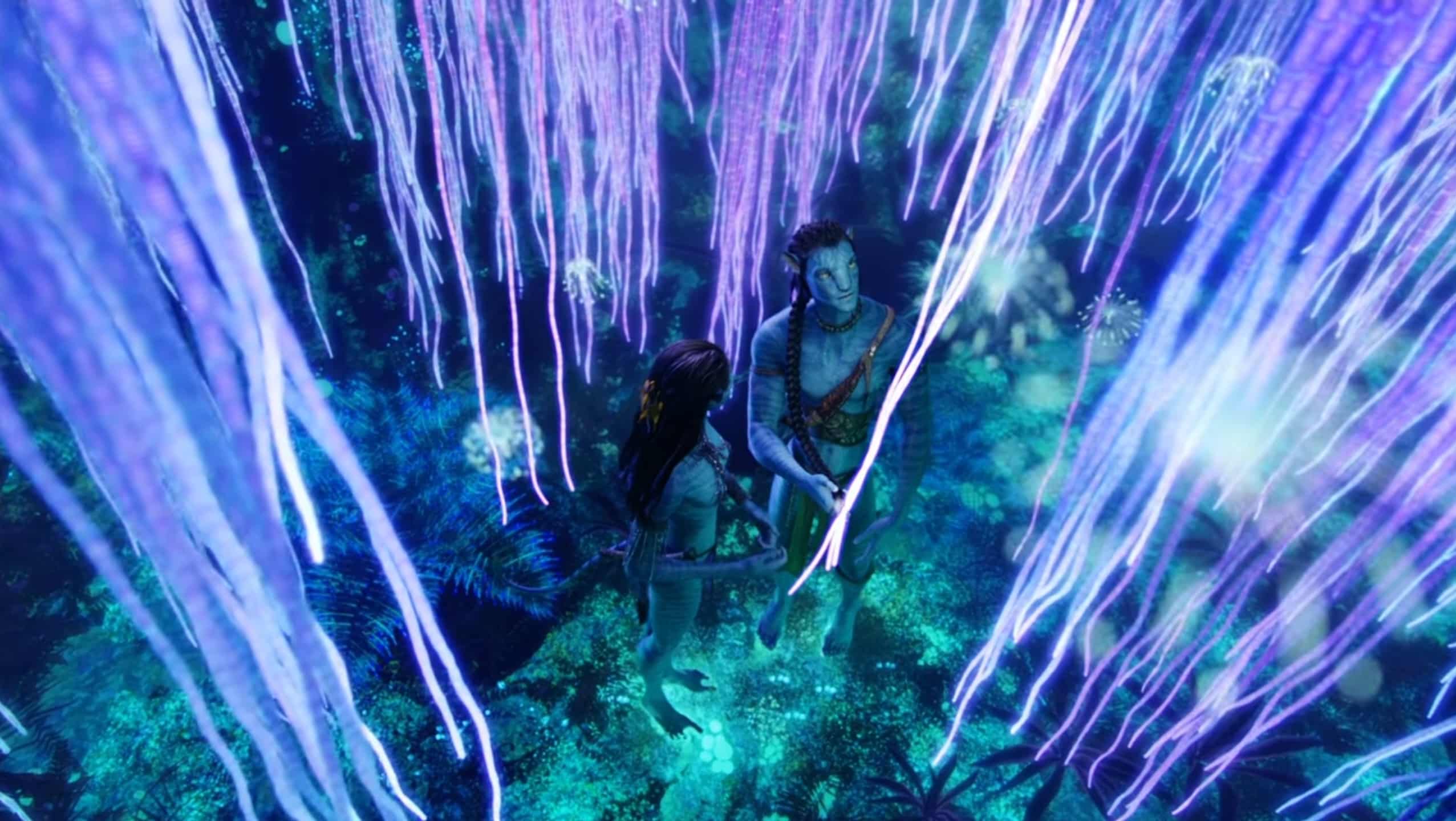 Une image du film Avatar