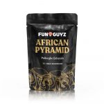 African Pyramid - Magic Mushrooms