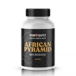 Afrikanische Pyramide - Pilz-Mikrodosierungs-Kapseln - 20 Stk.