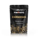Cambodian Magic Mushrooms