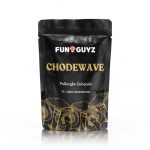 Chodewave - Magic Mushrooms