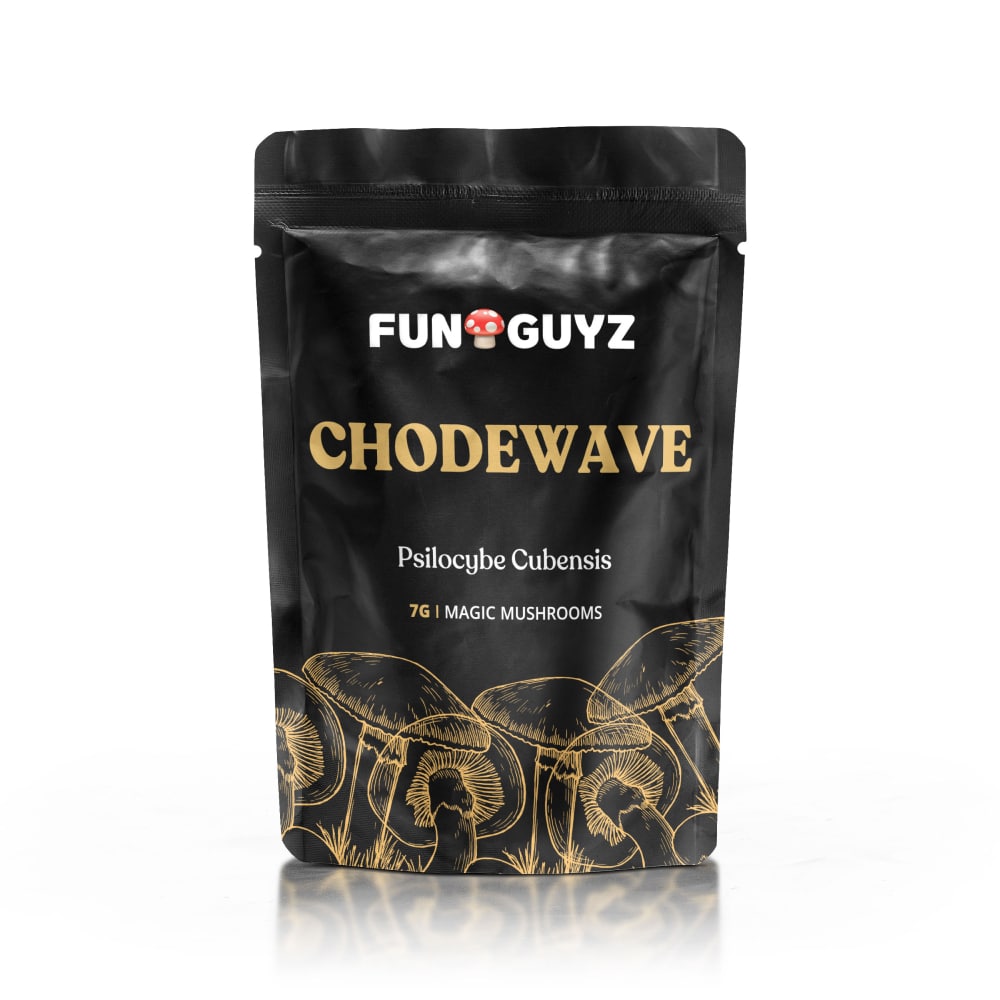 Chodewave Magic Mushrooms