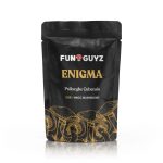 Enigma Magic Mushrooms