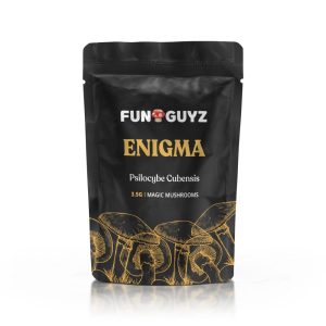 Enigma Magic Mushrooms