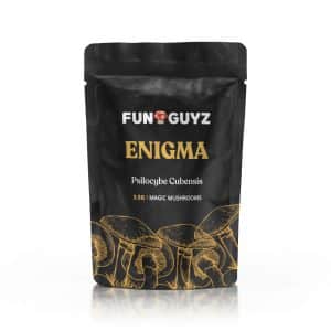 Enigma - Magic Mushrooms - 3.5g