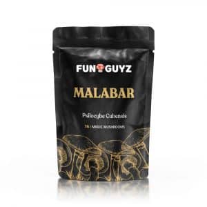 Malabar - Magic Mushrooms