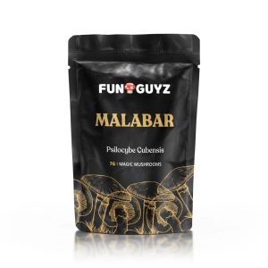 Malabar Magic Mushrooms