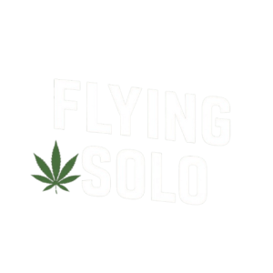 Flying Solo logo