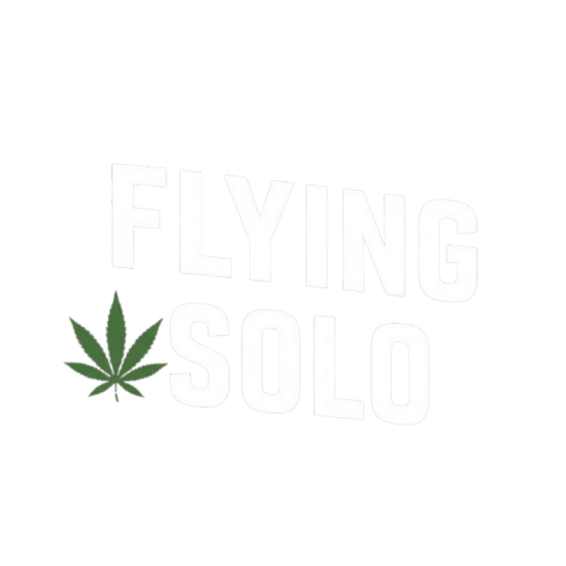 Flying Solo logo