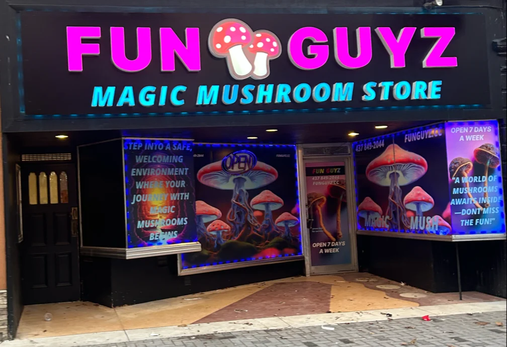 FunGuyz magic mushroom store at 111 Dundas St, London, Ontario