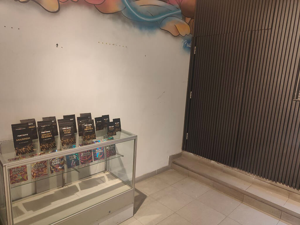 funguyz-magic-mushrooms-dispensary-bloor-st-w-8