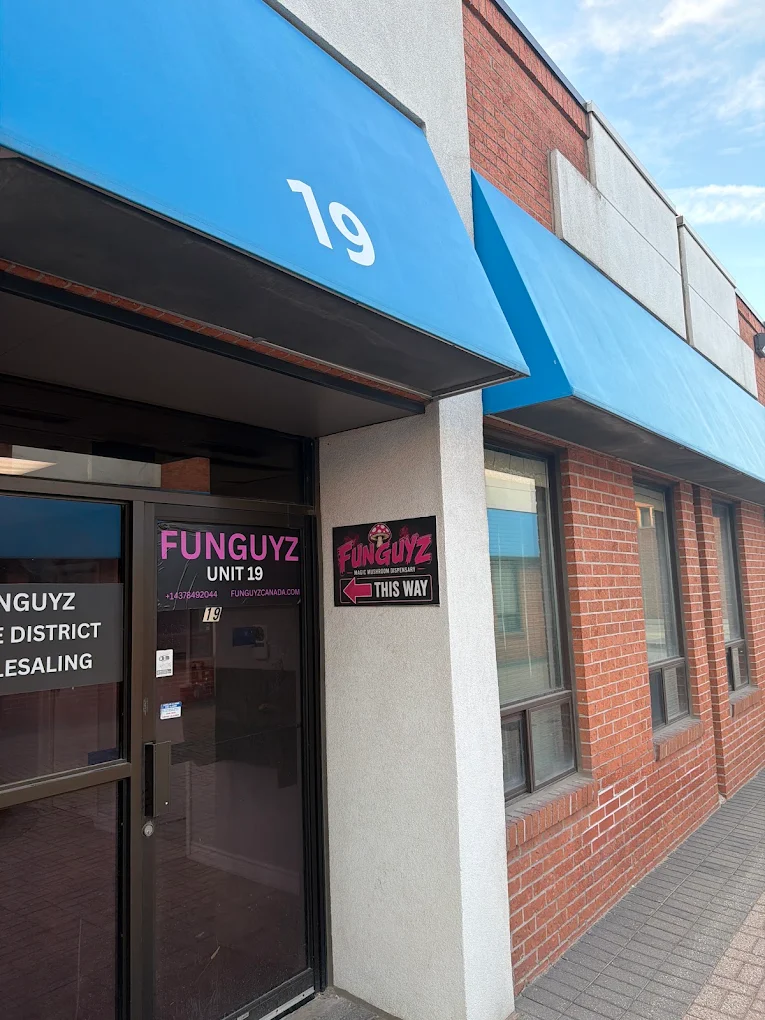 FunGuyz Mississauga Shawson Dr store photo 7