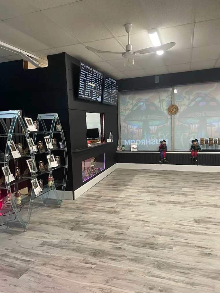 The counter and front windows at FunGuyz Niagara Falls