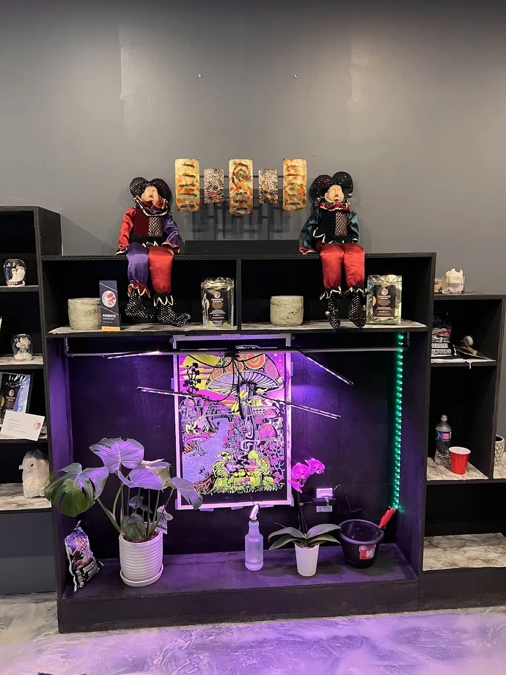 Feature shelf with neon mushroom artwork at FunGuyz Niagara Falls