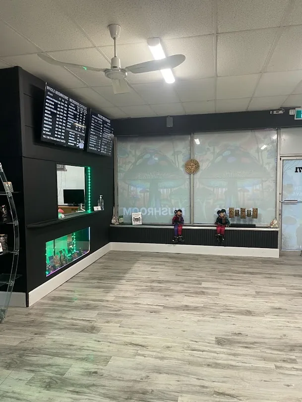 Front windows and seating area at FunGuyz Niagara Falls