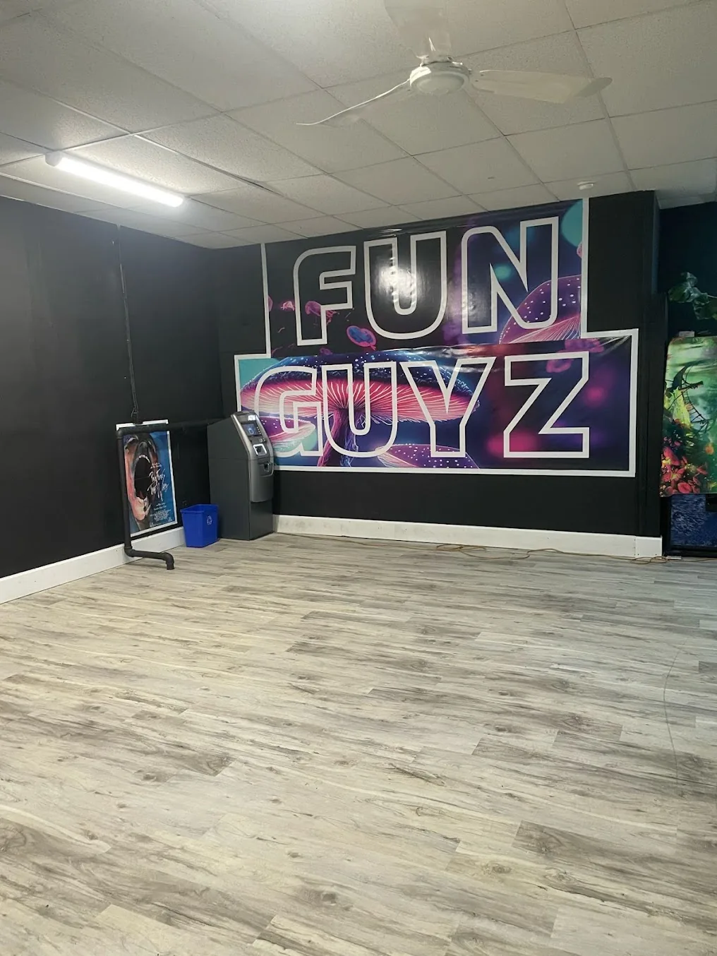 The FunGuyz sign wall inside the Niagara Falls store on Ferry St