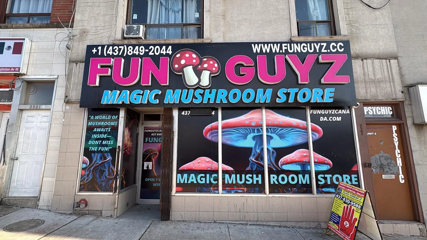 FunGuyz Toronto Eglinton Ave W store photo 1