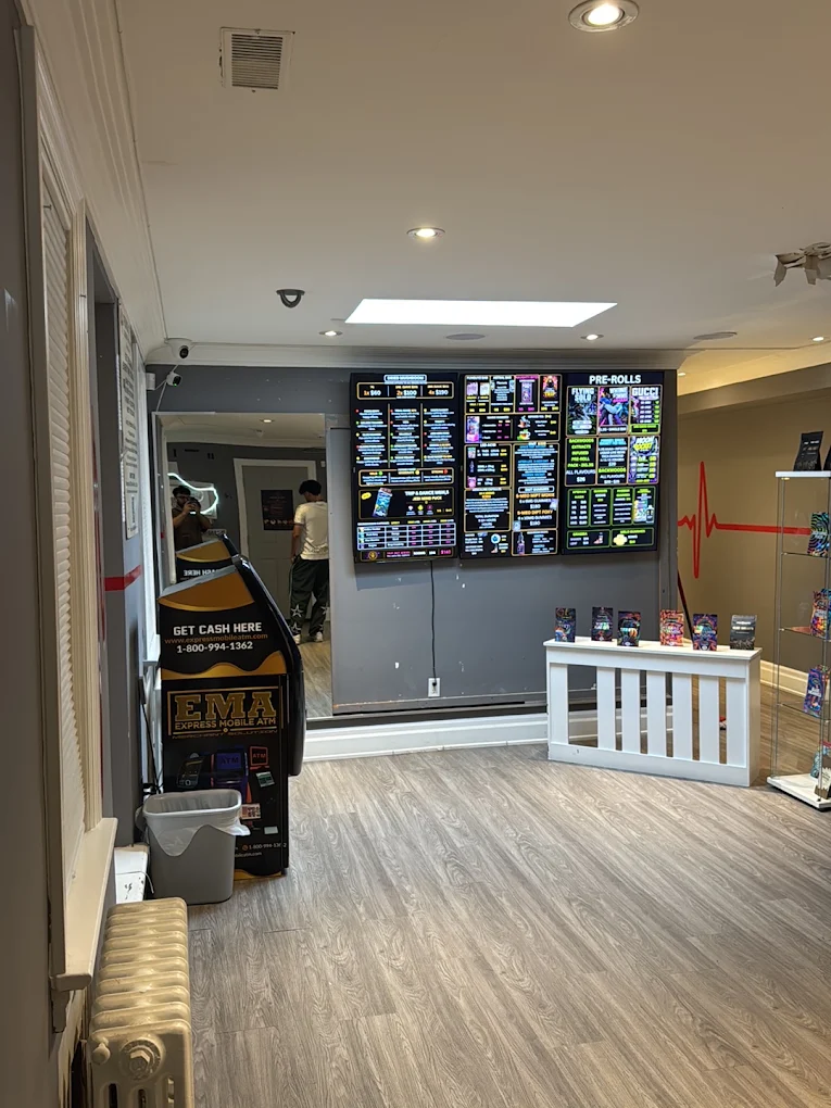 Inside the FunGuyz store on Fort York Blvd, Toronto