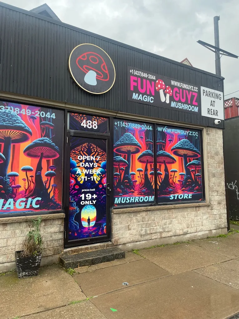 FunGuyz magic mushroom store on East Main St, Welland