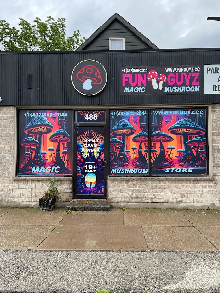 FunGuyz magic mushroom store at 488 East Main St, Welland